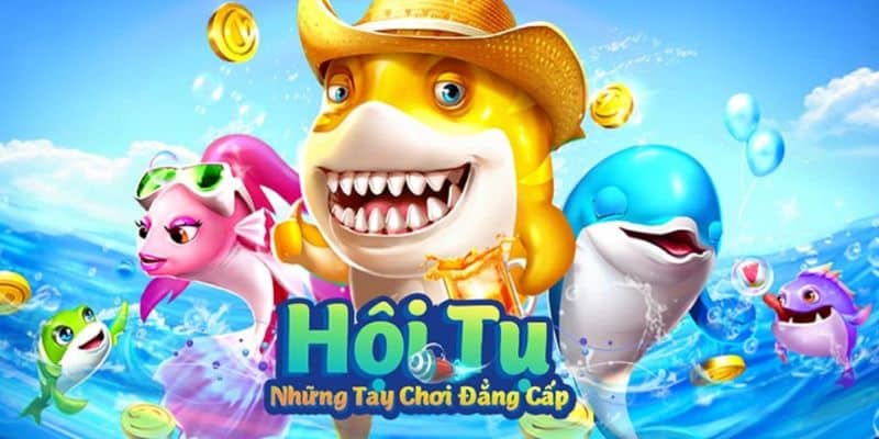 Chi tiết cách chơi máy bán cá tại Kubet