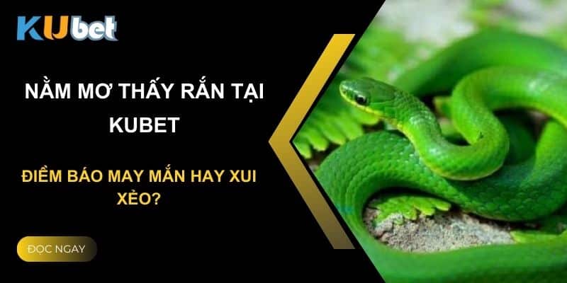 Nằm mơ thấy rắn tại Kubet: Điềm báo may mắn hay xui xẻo?